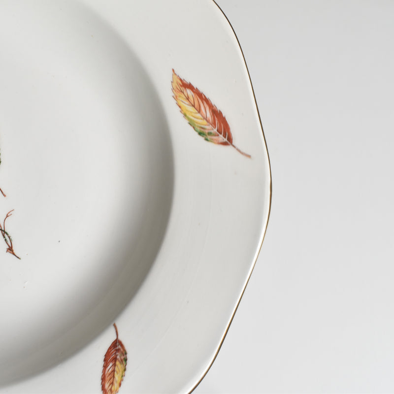 Vintage Deep Plate, Digoin & Sarreguemines Nemours B