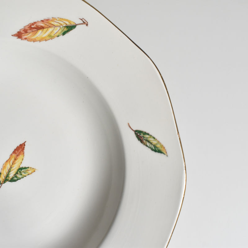 Vintage Deep Plate, Digoin & Sarreguemines Nemours B