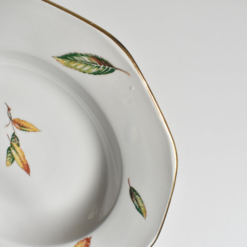 Vintage Deep Plate, Digoin & Sarreguemines Nemours B