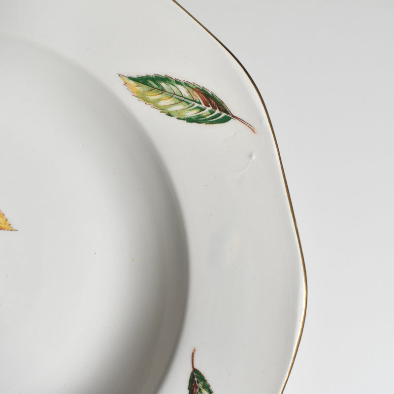 Vintage Deep Plate, Digoin & Sarreguemines Nemours B
