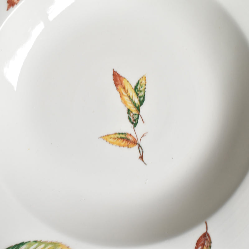 Vintage Deep Plate, Digoin & Sarreguemines Nemours B