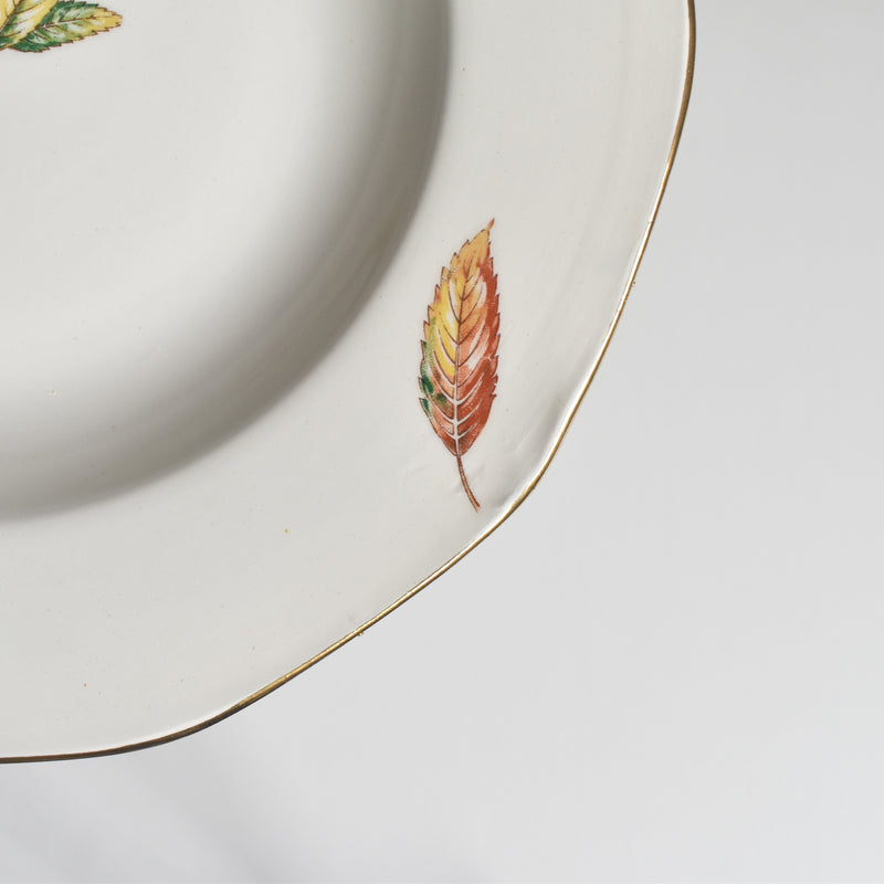 Vintage Deep Plate Digoin & Sarreguemines Nemours C