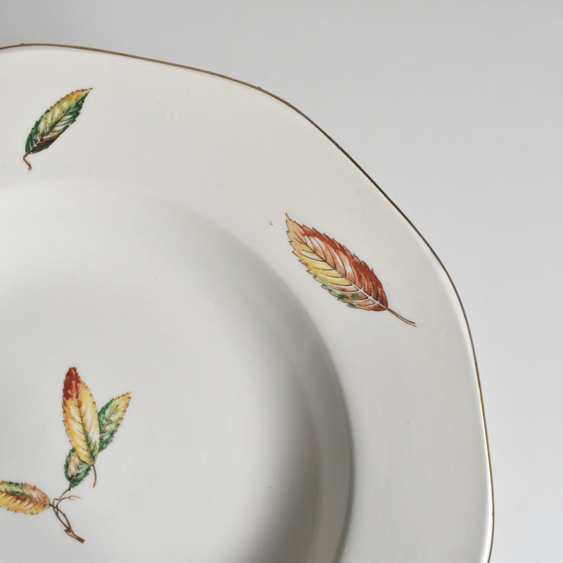 Vintage Deep Dish, Digoin & Sarreguemines Nemours D