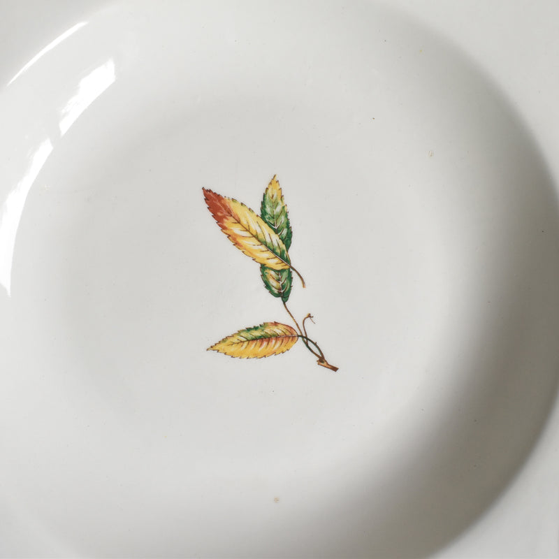 Vintage Deep Plate Digoin & Sarreguemines Nemours E