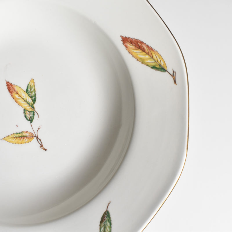 Vintage Deep Plate Digoin & Sarreguemines Nemours F