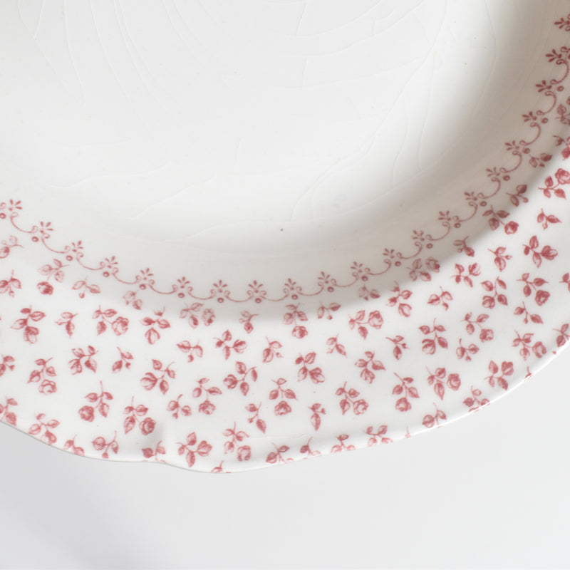 Vintage Gien Deep Plate Petites Fleurs C