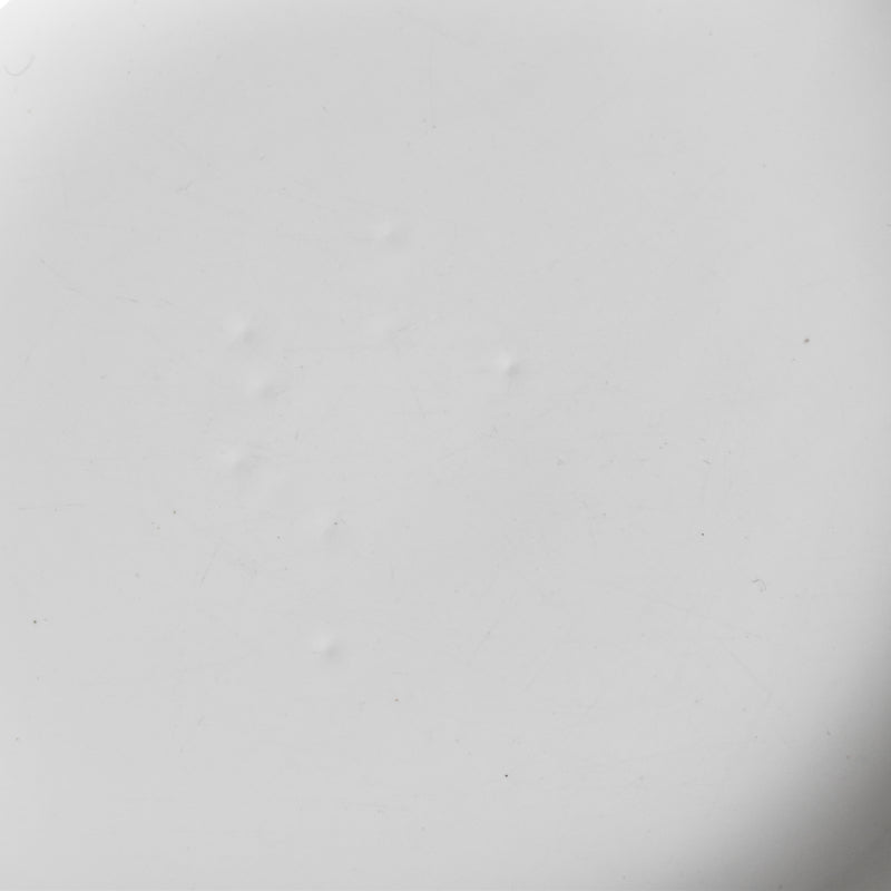 ヴィンテージ深皿 ロンシャン 花リム ホワイト B