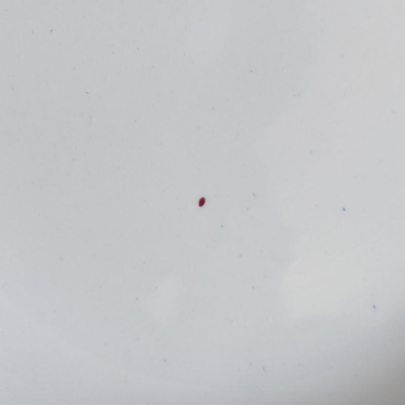 ヴィンテージ深皿 K&Gリュネヴィル Vert & Rouge A