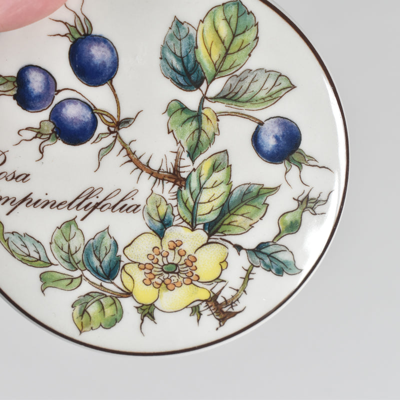 Vintage Small Box Villeroy & Boch Botanica