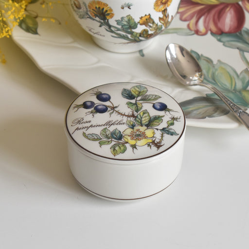 ヴィンテージ スモールボックス ビレロイボッホ Botanica（ボタニカ）