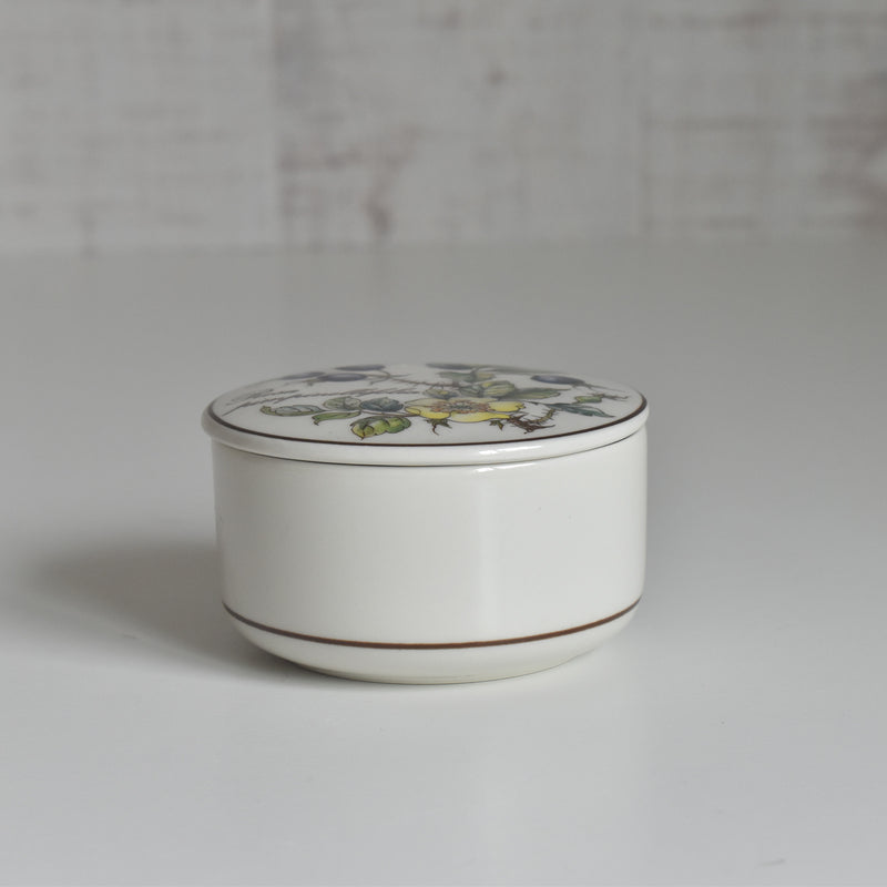 Vintage Small Box Villeroy & Boch Botanica