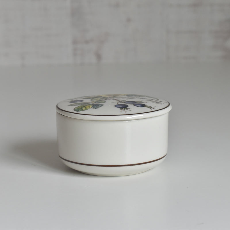 Vintage Small Box Villeroy & Boch Botanica