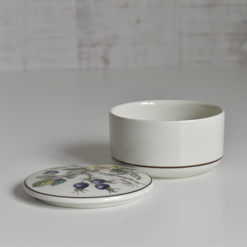 Vintage Small Box Villeroy & Boch Botanica