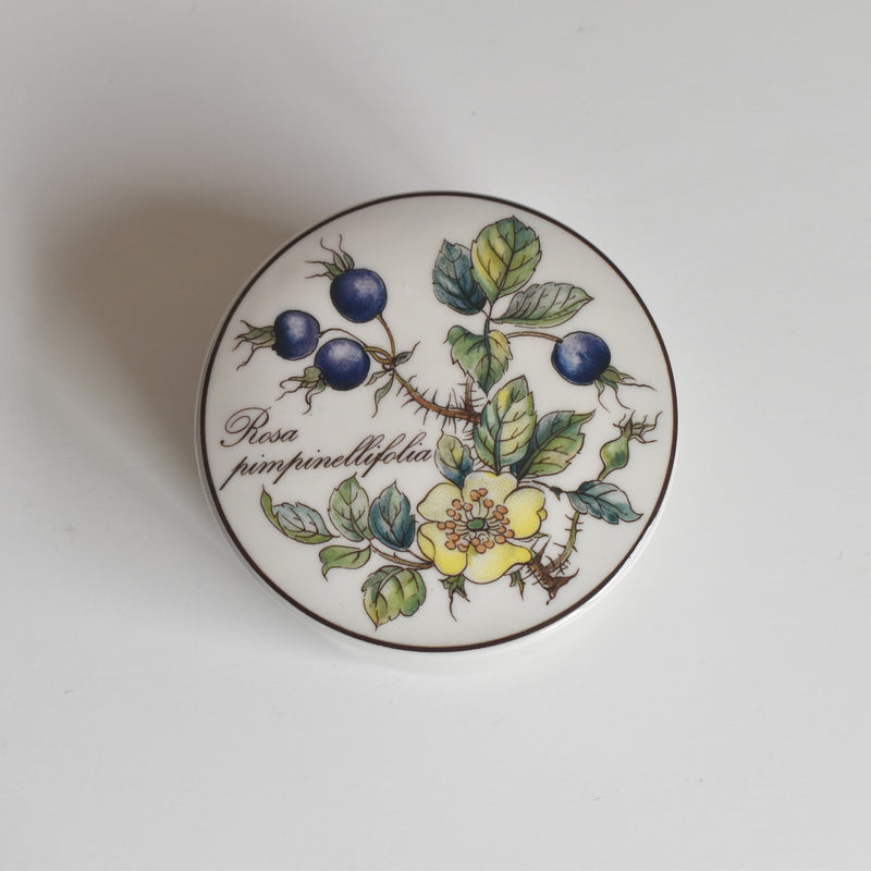 Vintage Small Box Villeroy & Boch Botanica