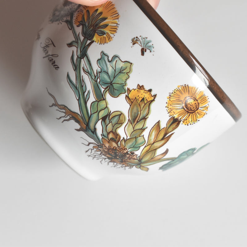 Vintage Cup Villeroy & Boch Botanica A