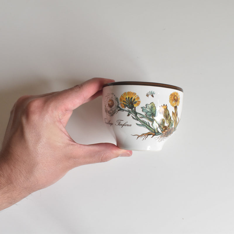 Vintage Cup Villeroy & Boch Botanica A