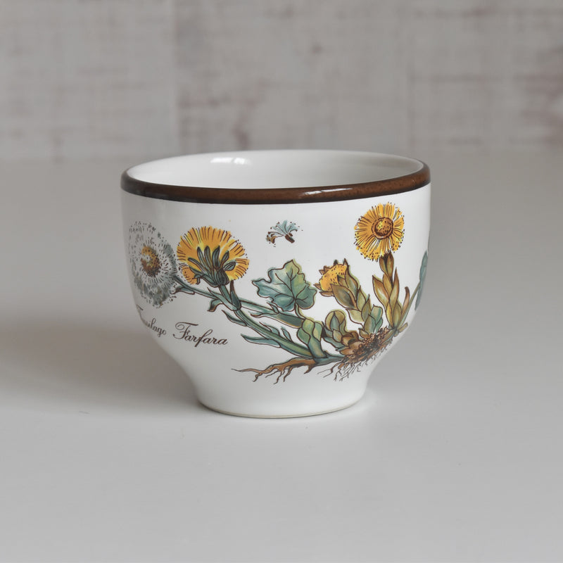 Vintage Cup Villeroy & Boch Botanica A