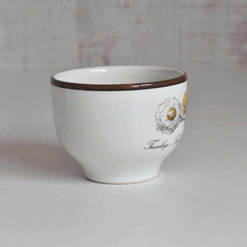 Vintage Cup Villeroy & Boch Botanica A