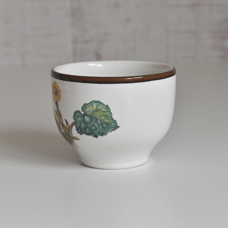 Vintage Cup Villeroy & Boch Botanica A