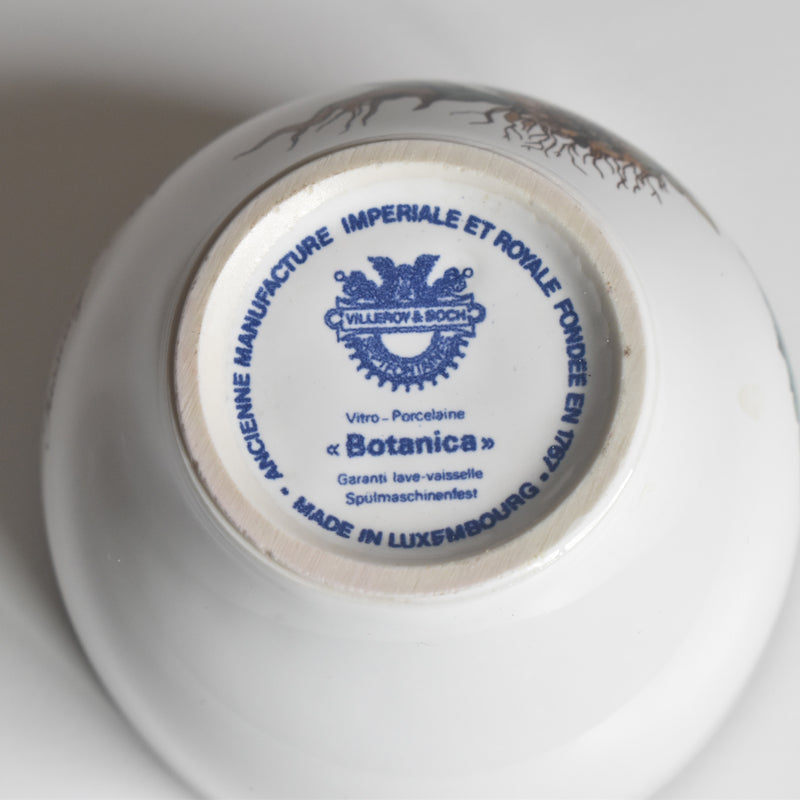 Vintage Cup Villeroy & Boch Botanica A