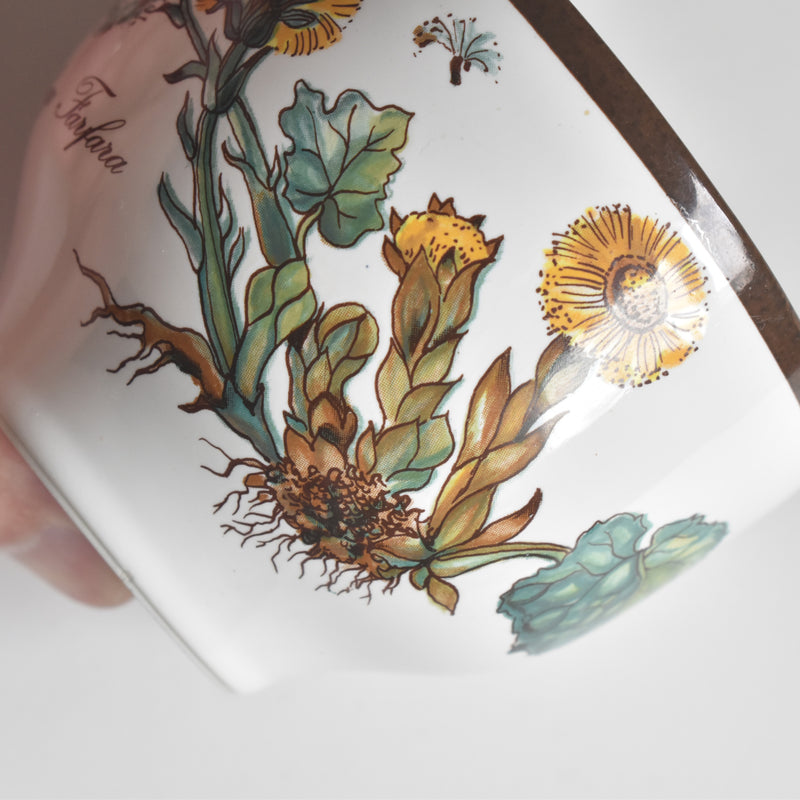Vintage Cup Villeroy & Boch Botanica B