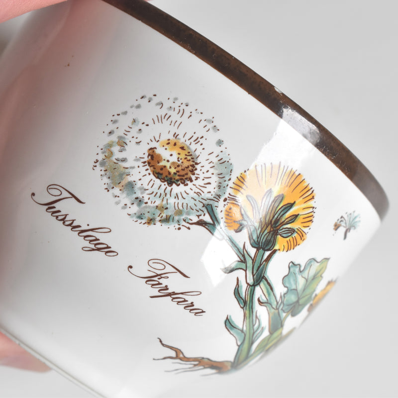 Vintage Cup Villeroy & Boch Botanica B
