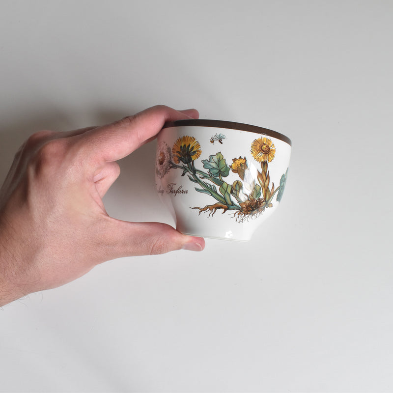 Vintage Cup Villeroy & Boch Botanica B