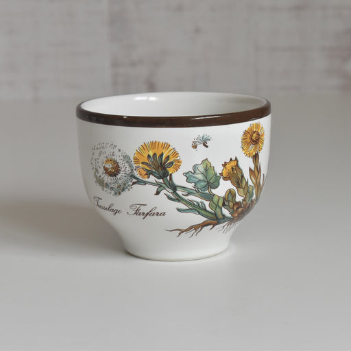 ヴィンテージカップ ビレロイボッホ Botanica (ボタニカ） B