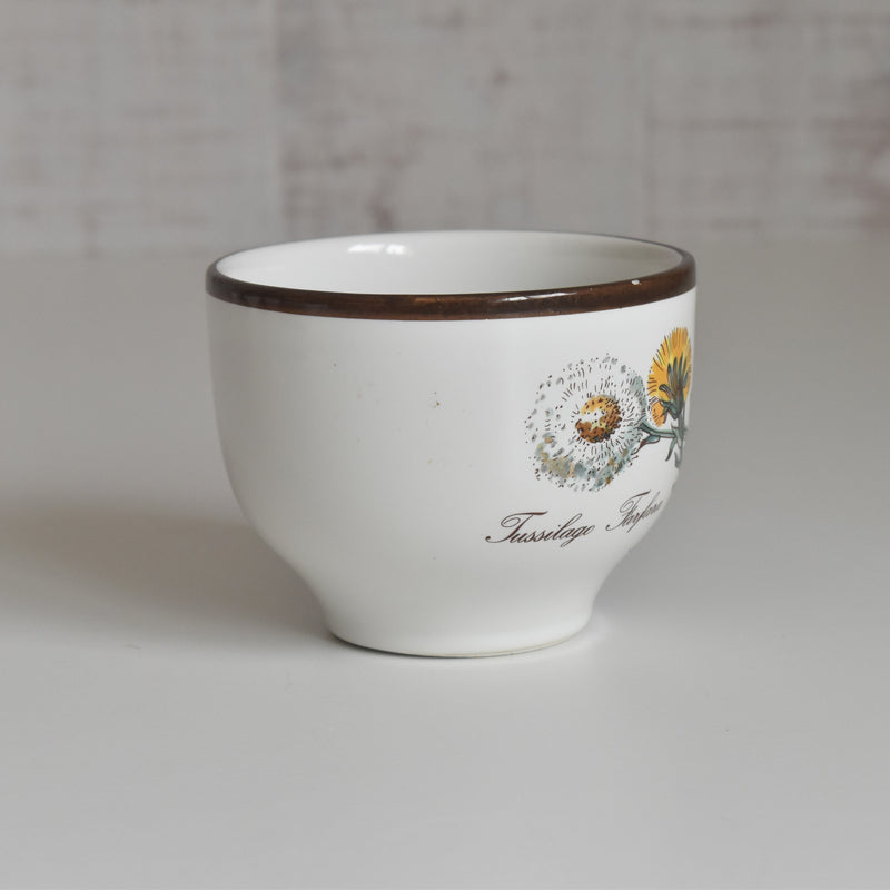 Vintage Cup Villeroy & Boch Botanica B