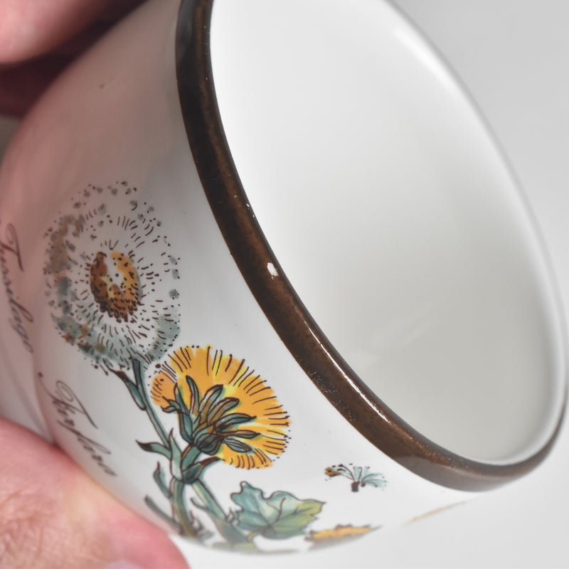 Vintage Cup Villeroy & Boch Botanica B