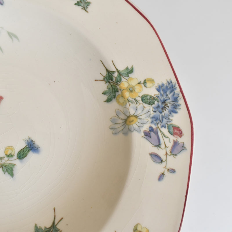 Vintage Deep Plate - Villeroy & Boch Fleurs des champs (Flowers of the Fields) F