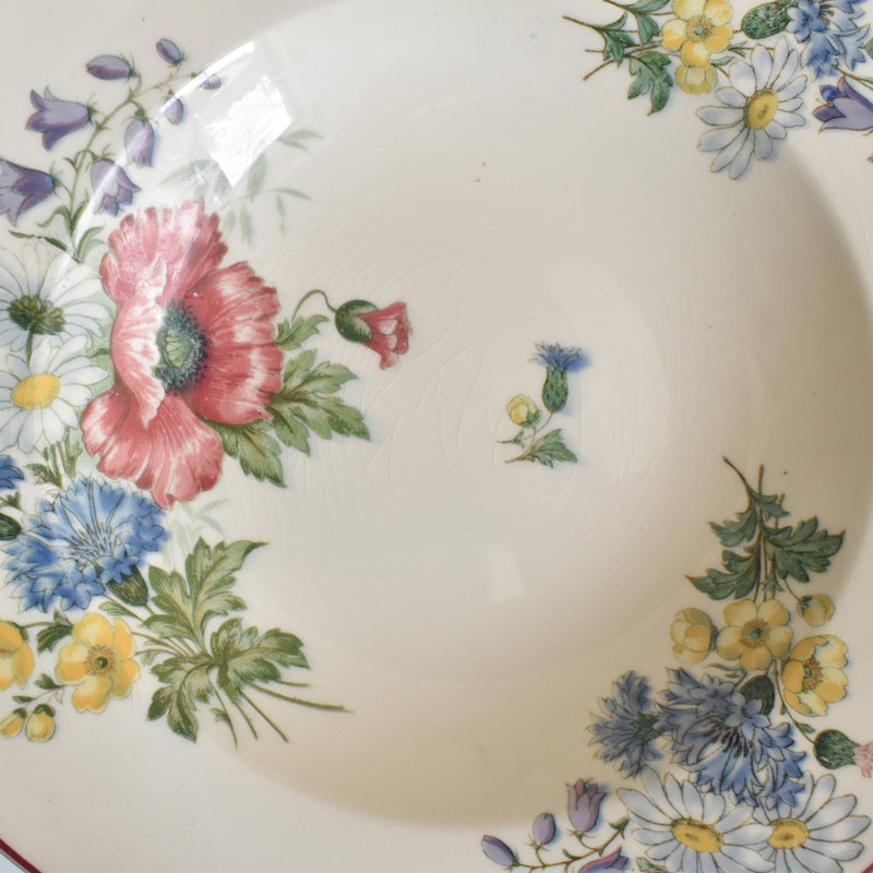 Vintage Deep Plate - Villeroy & Boch Fleurs des champs (Flowers of the Fields) F