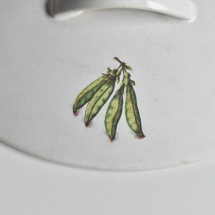 ヴィンテージテリーヌ ビレロイボッホ Légumes (野菜）