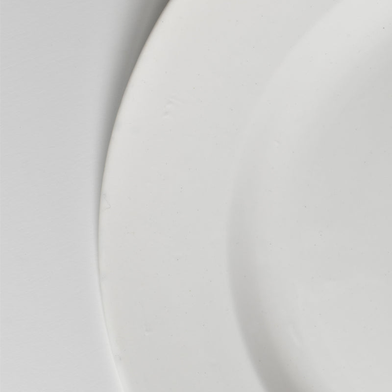 Vintage Large Digoin & Sarreguemines White Plate 33.5cm