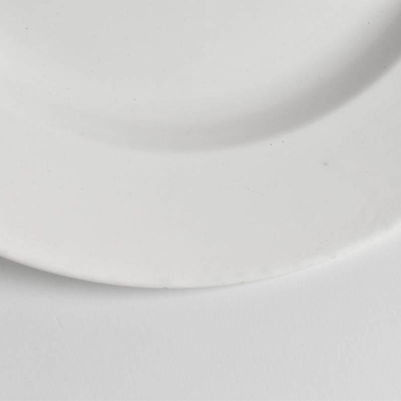 Vintage Large Digoin & Sarreguemines White Plate 33.5cm