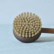 アンドレジャルダン　バスブラシ　ブラシ部分　豚毛