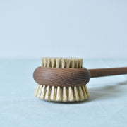 アンドレジャルダン　バスブラシ　ブラシ部分　横