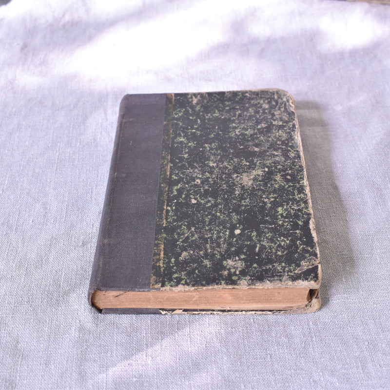 Antique Book "L'âme de la Race"