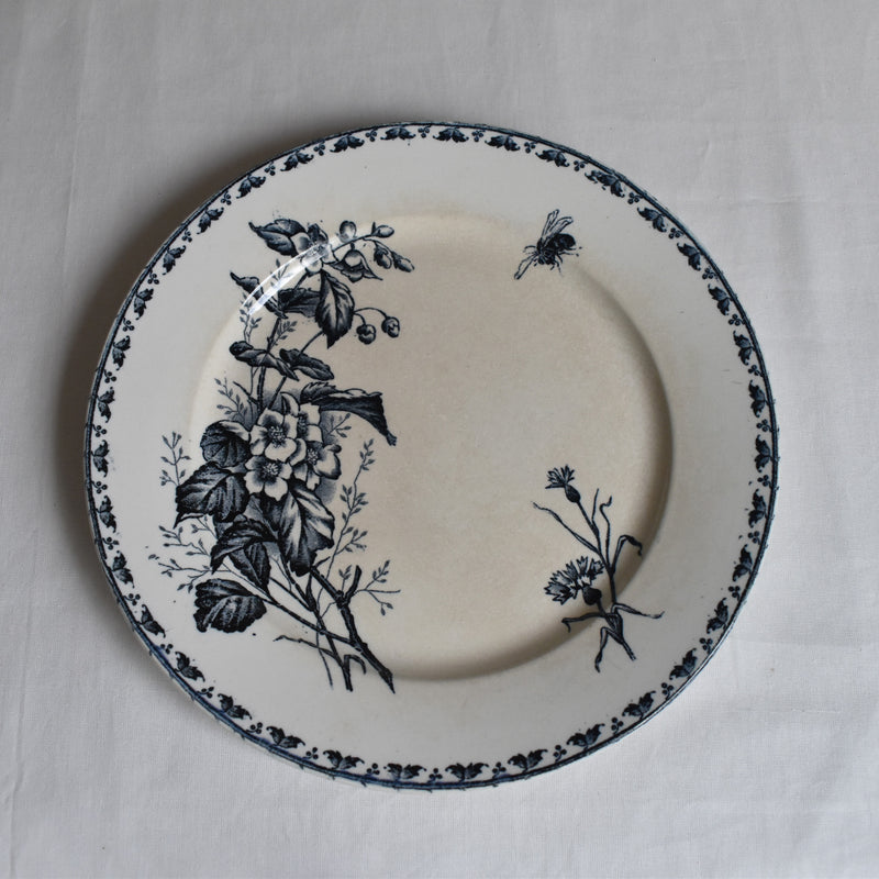 Antique Plate - U&C Sarreguemines "Carmen B"