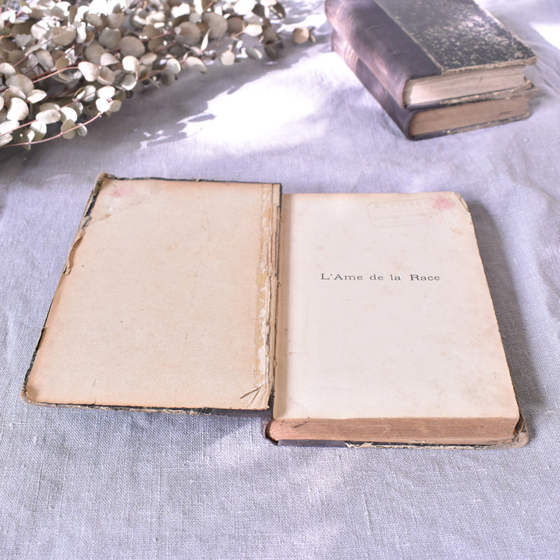 Antique Book "L'âme de la Race"