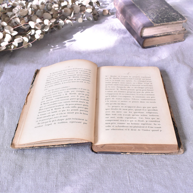 Antique Book "L'âme de la Race"