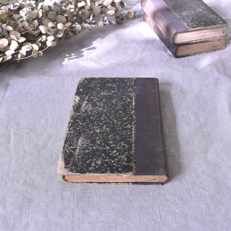 Antique Book "L'âme de la Race"