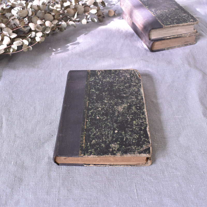 Antique Book "L'âme de la Race"