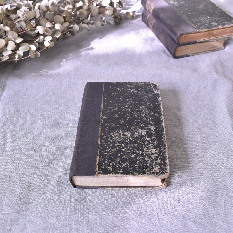 Antique book: "Lucie de Courseulles"