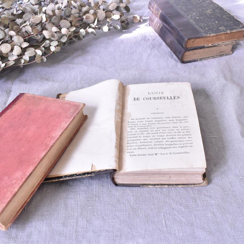 Antique book: "Lucie de Courseulles"