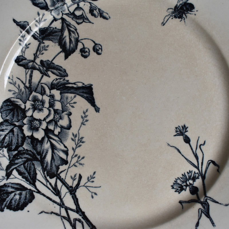 Antique Plate - U&C Sarreguemines "Carmen B"