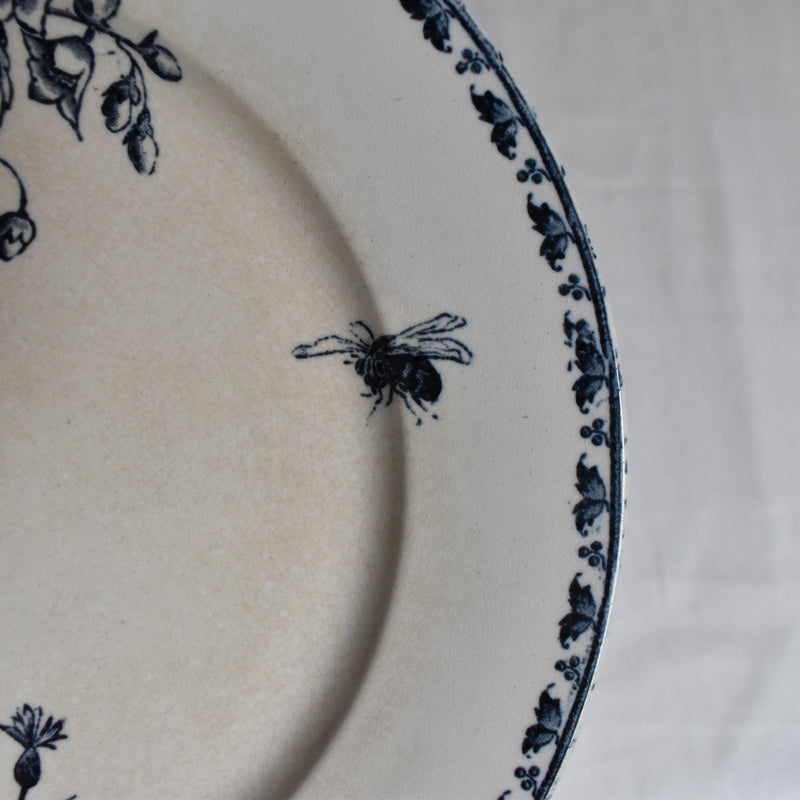 Antique Plate - U&C Sarreguemines "Carmen B"