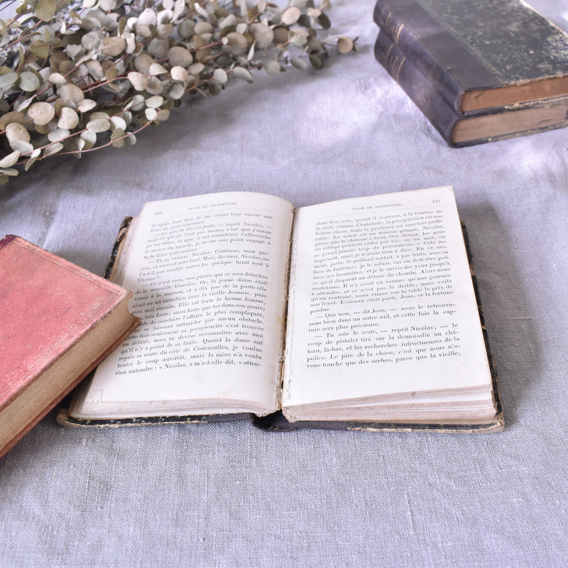Antique book: "Lucie de Courseulles"