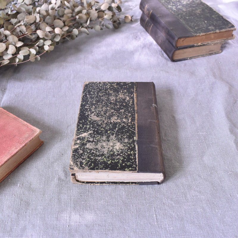 Antique book: "Lucie de Courseulles"