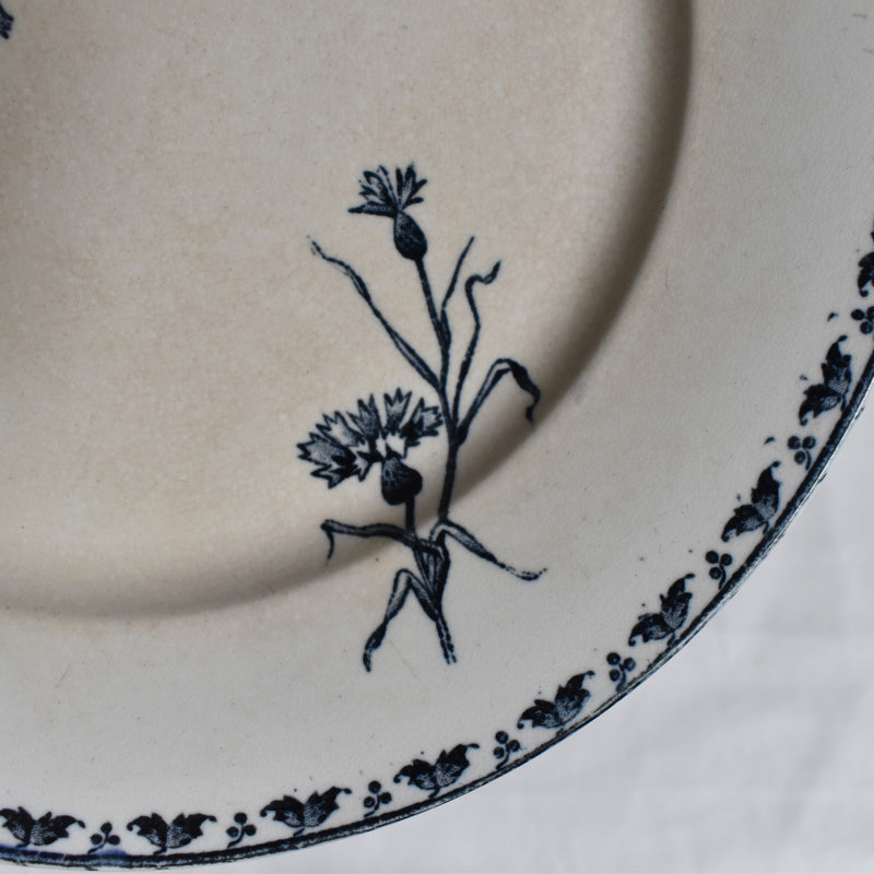 Antique Plate - U&C Sarreguemines "Carmen B"
